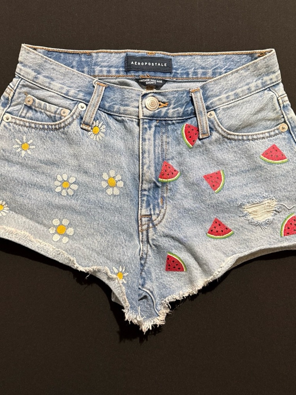 Aeropostale Light Blue Denim Shorts with Daisy & Watermelon Patches